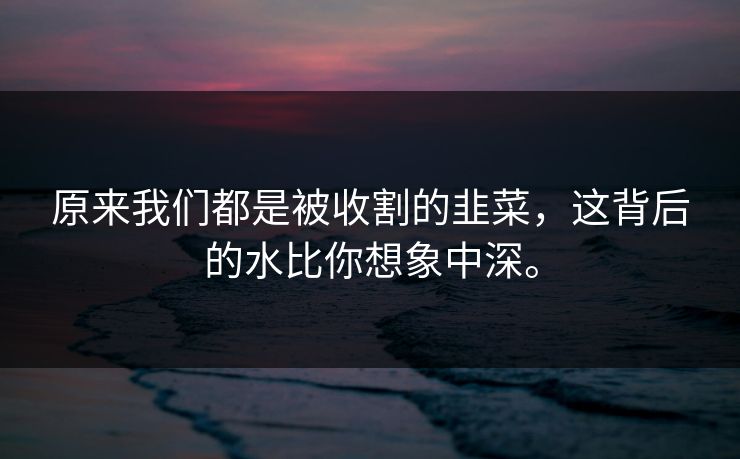 原来我们都是被收割的韭菜，这背后的水比你想象中深。