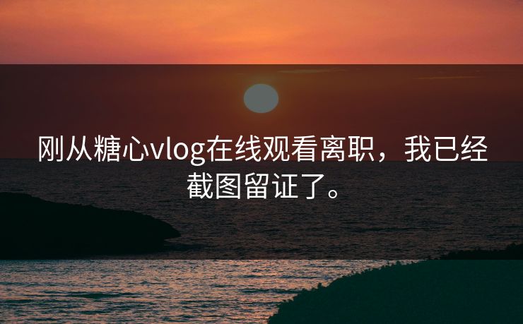 刚从糖心vlog在线观看离职，我已经截图留证了。