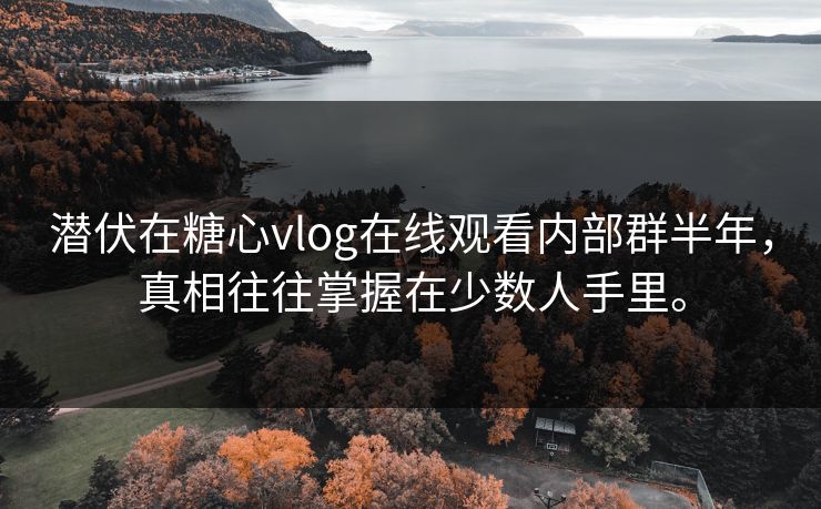 潜伏在糖心vlog在线观看内部群半年，真相往往掌握在少数人手里。
