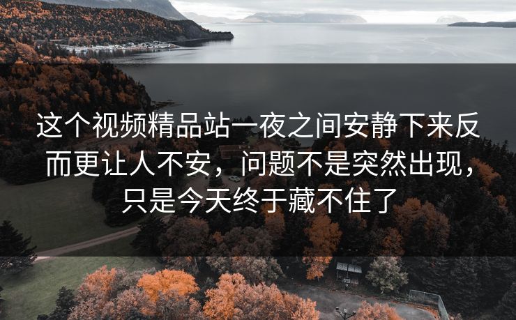 这个视频精品站一夜之间安静下来反而更让人不安，问题不是突然出现，只是今天终于藏不住了