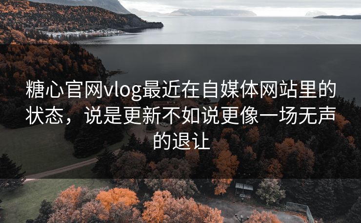 糖心官网vlog最近在自媒体网站里的状态，说是更新不如说更像一场无声的退让