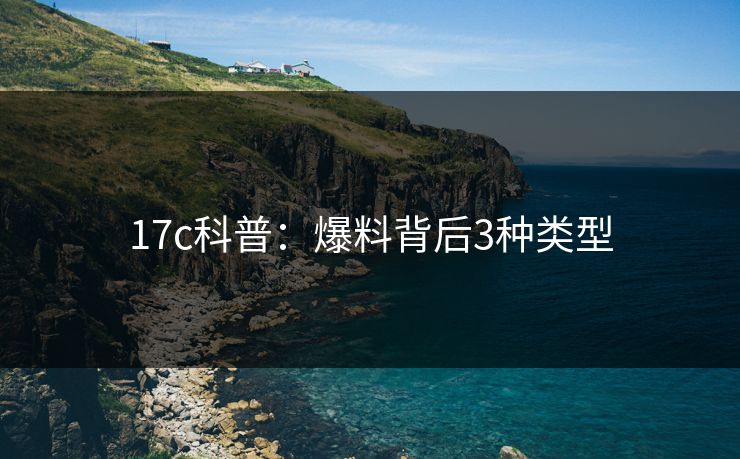 17c科普：爆料背后3种类型