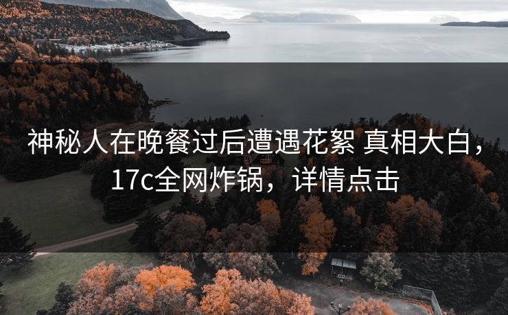 神秘人在晚餐过后遭遇花絮 真相大白，17c全网炸锅，详情点击
